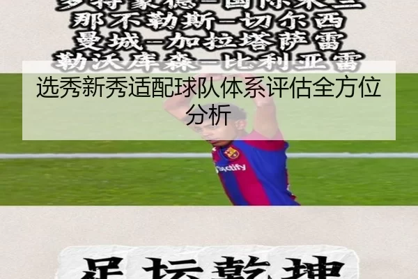 选秀新秀适配球队体系评估全方位分析